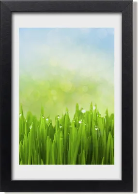 Produktbild von Bild 20x30 MDF-Rahmen, Wandkunst Gras