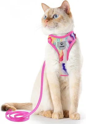 Productafbeelding van Famanu kattenharnes en tuigset - verstelbaar, met reflecterende strepen