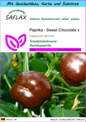 Produktbild von SAFLAX Geschenk Set - Paprika - Sweet Chocolate x - Capsicum annum - 10 Samen - Mit Geschenkbox, Versandaufkleber, Geschenkkarte und Anzuchtsubstrat