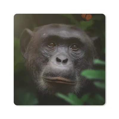 Produktbild von MuchoWow® Mauspad Mousepad Tiere - Affe - Dschungel 20x20 cm - Mousepads - Maus Mat - Pad - Mausunterlage - Desk Mat - Bureauartikeln
