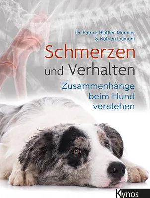 Produktbild von Schmerzen und Verhalten