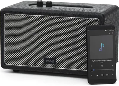 Image de Platinet CRUDE Enceinte portable stéréo Noir, Gris 30 W