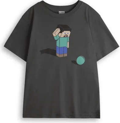 Obrázek produktu pro Minecraft - chlapecké tričko s krátkým rukávem NS8160 (116) (Black)