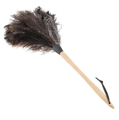 Immagine prodotto di Spolverino con piume di struzzo e manico in legno, 56 cm, estremamente morbido