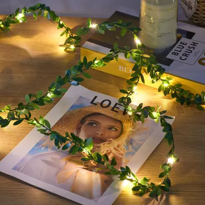 LED-Lichterkette 5 m, 50 warmweiße LEDs, USB, Fernbedienung, Timer