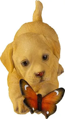 Produktbild von Clayre & Eef Figur Hund 20x8x11 cm Braun Kunststoff