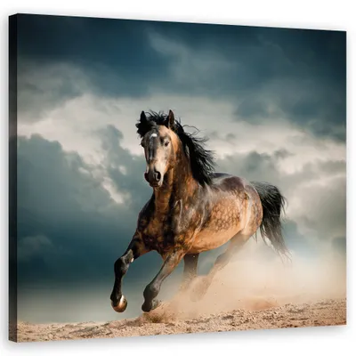 Produktbild von Leinwandbild Galoppierendes Pferd 40x40 Feeby Braun bild für die wand bereit zum aufhängen