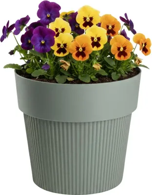 Image de HowHomely | Pot de fleurs - Jardinière - vert - 14 x 16 cm - Pot rainuré - Cache-pot - Pratique