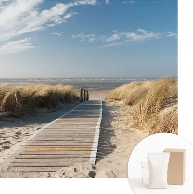 Obrázek produktu pro Samolepicí fototapeta – nástěnné malby do obývacího pokoje – 250 x 250 cm – dekorativní fólie na stěny – moderní design pro výzdobu stěn – tapety do interiérů – Seeweg