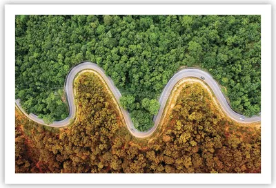 Produktbild von Poster - Poster ohne Rahmen - Luftaufnahmen Weg Wald - 91,5x61 cm - Wand Bild - Wanddeko - Wandbilder - Kunstposter - Wandposter - Bilder - Kunstdruck - Wanddekoration - Wandbild - P2XAA91x61-4659