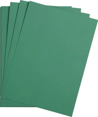 Produktbild von Clairefontaine Maya Fotokarton 50x70cm 270g 125 Bogen - Tannengrün 397251C