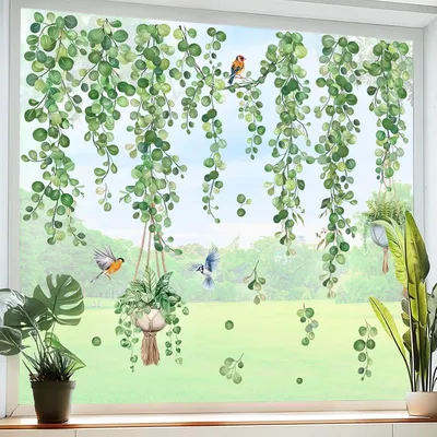 Produktbild von Fensterbilder mit hängender Rebe und grünen Blättern