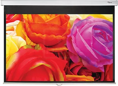 Obrázek produktu pro Optoma DS-1123PMG+, Manuální, 3,12 m (123"), 2,66 m, 166 cm, 16:10, Černá, Bílá