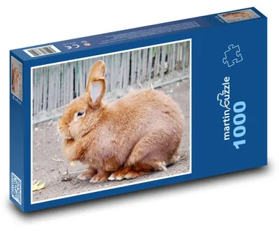Obrázek produktu pro Puzzle 1000 Roztomilý domácí králík - martinpuzzle