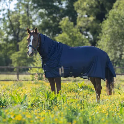 Produktbild von Imperial Riding Fliegendecke in Größe 165 - Fliegendecke IRHReese - navy