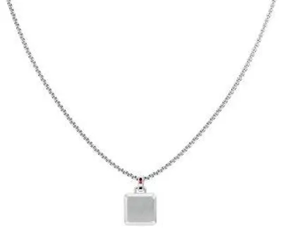 Image de Collier minimaliste en acier pour homme 2790543