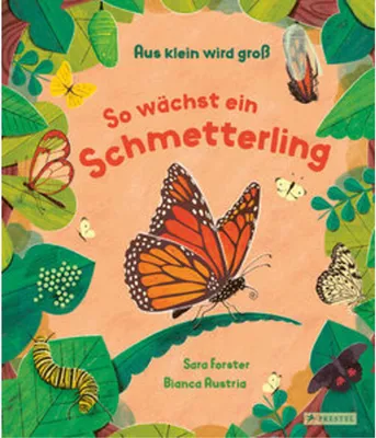 Image de Aus klein wird groß. So wächst ein Schmetterling