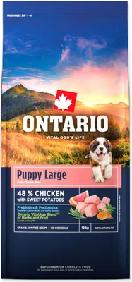 Zdjęcie produktu dla Szczeniak z Ontario