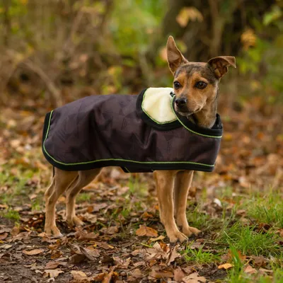 Produktbild von QHP Hundedecke Turnout 1200D Collection - Größe 45 - Driftwood
