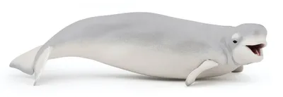Produktbild von Papo Wild Life Weißer Delphin / Belloega Wal 56012