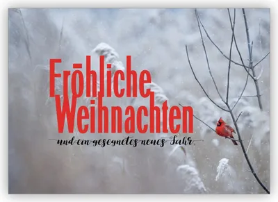 Produktbild von 4x Tolle Winter Weihnachtskarte mit rotem Vögelchen: Fröhliche Weihnachten und ein gesegnetes neues Jahr