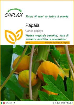 Immagine prodotto di SAFLAX  - Papaia - 30 semi - Carica