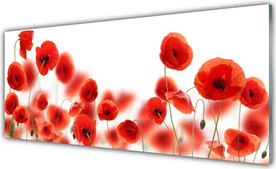 Produktbild von Küchenrückwand aus Glas 125x50cm Spritzschutz Mohnblumen Pflanzen