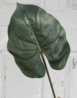 Produktbild von artplants.de Kunst Elefantenohrblatt HUGUR, grün, 75cm - Plastik Elefantenohrblatt