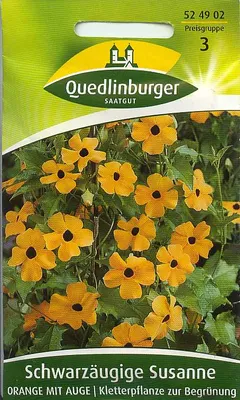 Produktbild von Schwarzäugige Susanne, Orange mit Auge