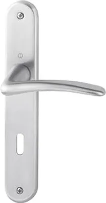 A silver door handle set with a long backplate.