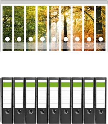 Produktbild von Wallario 9 Stück breite Ordner inkl. Klebeetiketten mit Motive Sonnenuntergang im Herbstwald -  Set mit Rückenschildern / Ordnerrücken Stickern