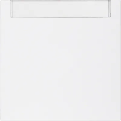 Image de Plaque de recouvrement pour interrupteur / bouton blanc 16261909