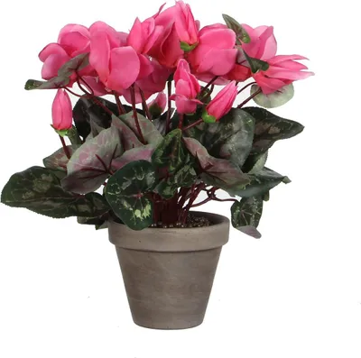 Immagine prodotto di Mica Decorations Fiore artificiale di ciclamino - 30x30x30 cm - Poliestere - Grigio