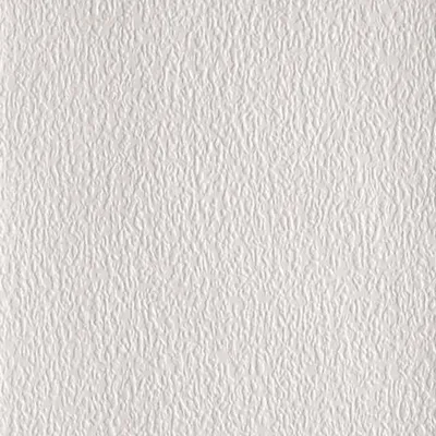 Produktbild von Anaglypta - Strukturtapete "Lace Bark Precision", Geprägt AG3128 (10 m x 53 cm) (Weiß)