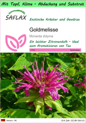 Produktbild von SAFLAX Garden to go - Goldmelisse - Monarda didyma - 20 Samen - Mit Topf, Klima - Deckel und Anzuchtsubstrat