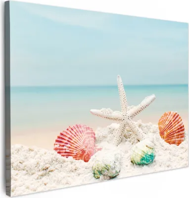 Produktbild von MuchoWow® - Leinwandbilder - Strand - Seesterne - Muscheln - Meer, Wandbild, Wanddeko Bilder Wohnzimmer, 70x50 cm