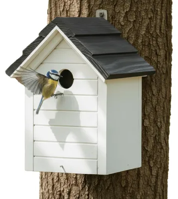 Produktbild von PATKAR Nistkasten aus Holz für Meisen & Spatzen - Vogelhaus mit Satteldach - 19 x 19 x 29 cm - Nisthaus für Wildvögel und Gartenvögel -  Europe