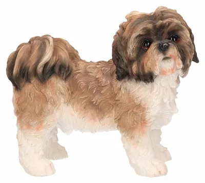 Produktbild von Deko-Statue - Shih tzu - schwarz - 11 cm - Polystone - Hunde