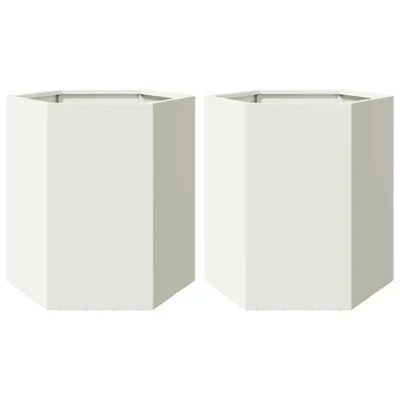 Immagine prodotto di Fioriere da Giardino 2 pz Esagono Bianco 46x40x45 cm Acciaio