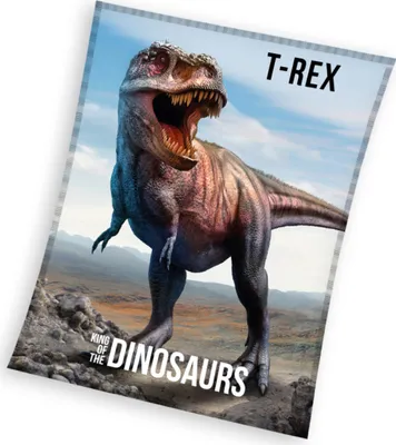 Produktbild von Fleecedecke Überwurf 130x170 T-Rex Dinosaurier