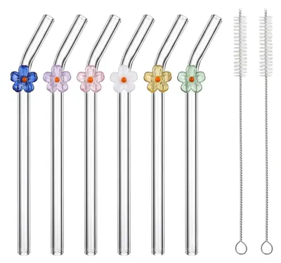 Gläserne Trinkhalme, 6 Stück, 20 cm, wiederverwendbar, Geschenkset