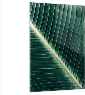 Produktbild von Bilder auf glas - Einteilig - Grün Blatt Tropisch - 80x120cm - Glasbilder - Wandbilder - Bilder - zum Aufhängen bereit - Wanddekoration aus Glas - Glas Bilder - Wandbild auf Glas - GPA80x120-4126