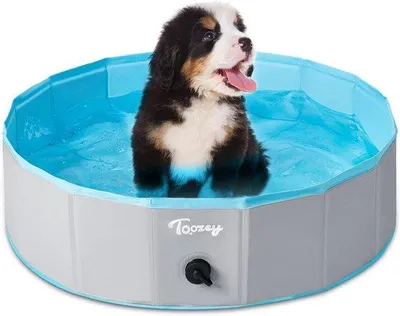 Produktbild von Famanu Hundepool faltbar - 80 cm/120 cm/160 cm - für große und kleine Hunde - Kinderpool - sicher und umweltfreundlich