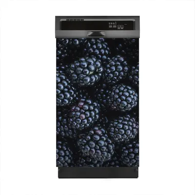 Produktbild von Magnete Dekorative 45x70 cm Küche Magnetmatte Spülmaschine - Brombeere Obst