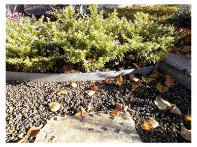 Produktbild von Rasenkante 10 m verzinkt Beeteinfassung Metall Palisade