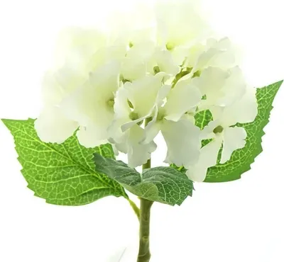 Produktbild von GASPER Mini-Hortensienblüte Weiß 33 cm - Kunstblumen