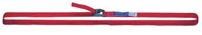 Produktbild von COLUMBOS Klemmschloß-Zurrgurt 25 mm Bbr. 4M Eintlg. 250 Dan,