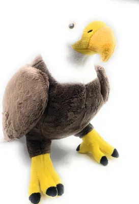 Produktbild von Onwomania Plüschtier Kuscheltier Stoff Tier Weißkopfseeadler Adler Vogel riesig 35cm Braun