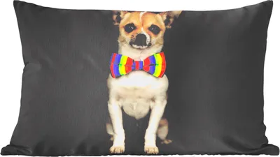 Produktbild von MuchoWow® Zierkissen Sofakissen Wohnzimmer Dekokissen 50x30 cm Hund - Fliege - Schwarz - Wohnzimmerdekoration - Polster mit Photo