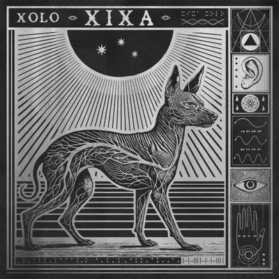 Produktbild von Xixa: Xolo